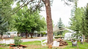 A campsite with white chairs, a hammock, and a large tree. - This is Cliffy! Our 1967 airstream (Pinetop)