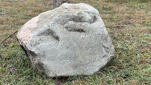 En träskylt med texten ”LITTLE BEAR BEND”, ett picknickbord och en sten med en björnristning.