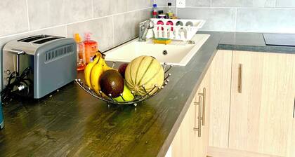 LâindĂ©modable! Appartement spacieux, rĂ©novĂ© et lumineux avec 2 chambres!