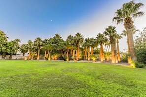 Property grounds - Graffiti Mansion Las Vegas (Las Vegas)