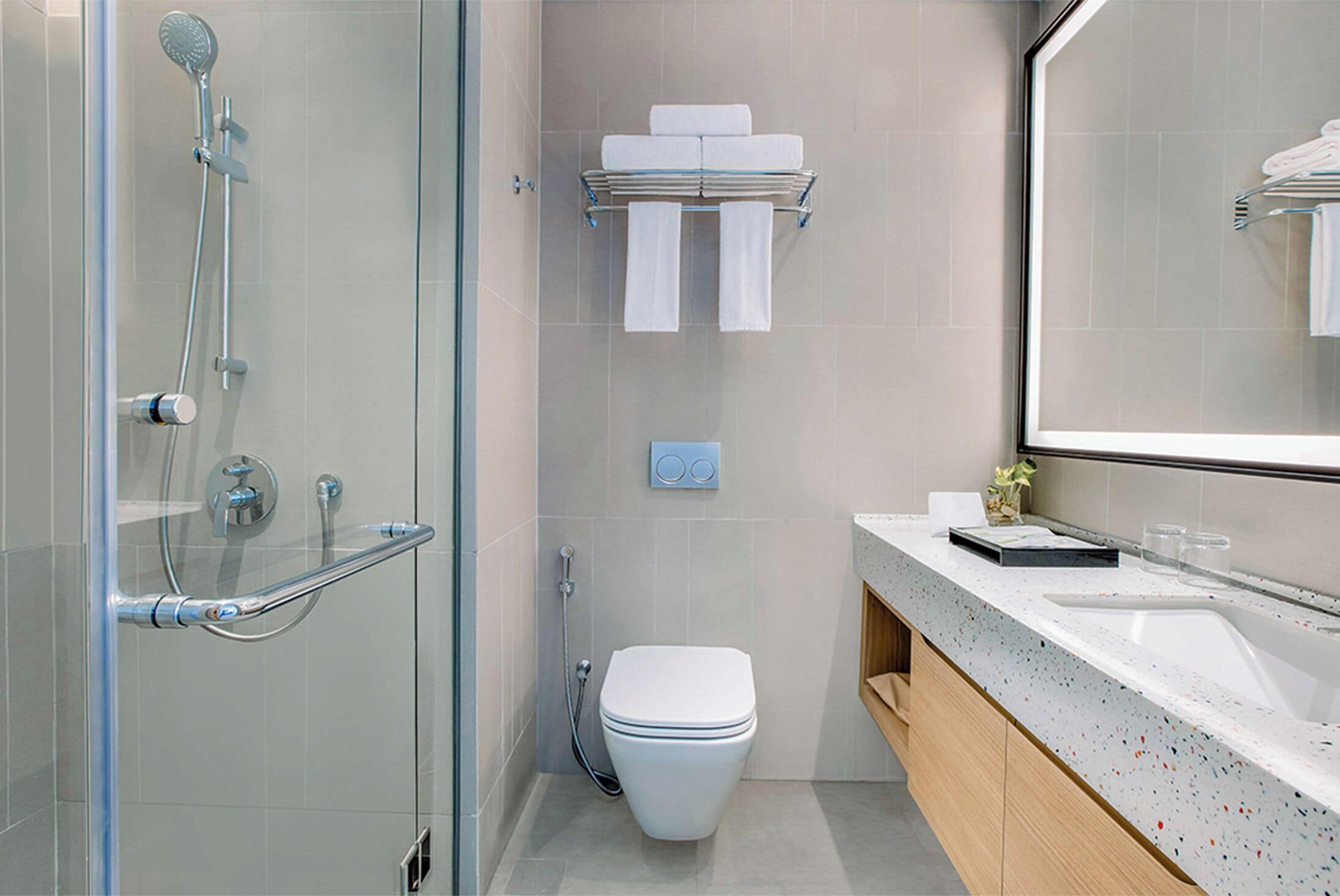 A modern bathroom with a glass shower enclosure, a toilet, a towel rack, and a sink with a mirror.