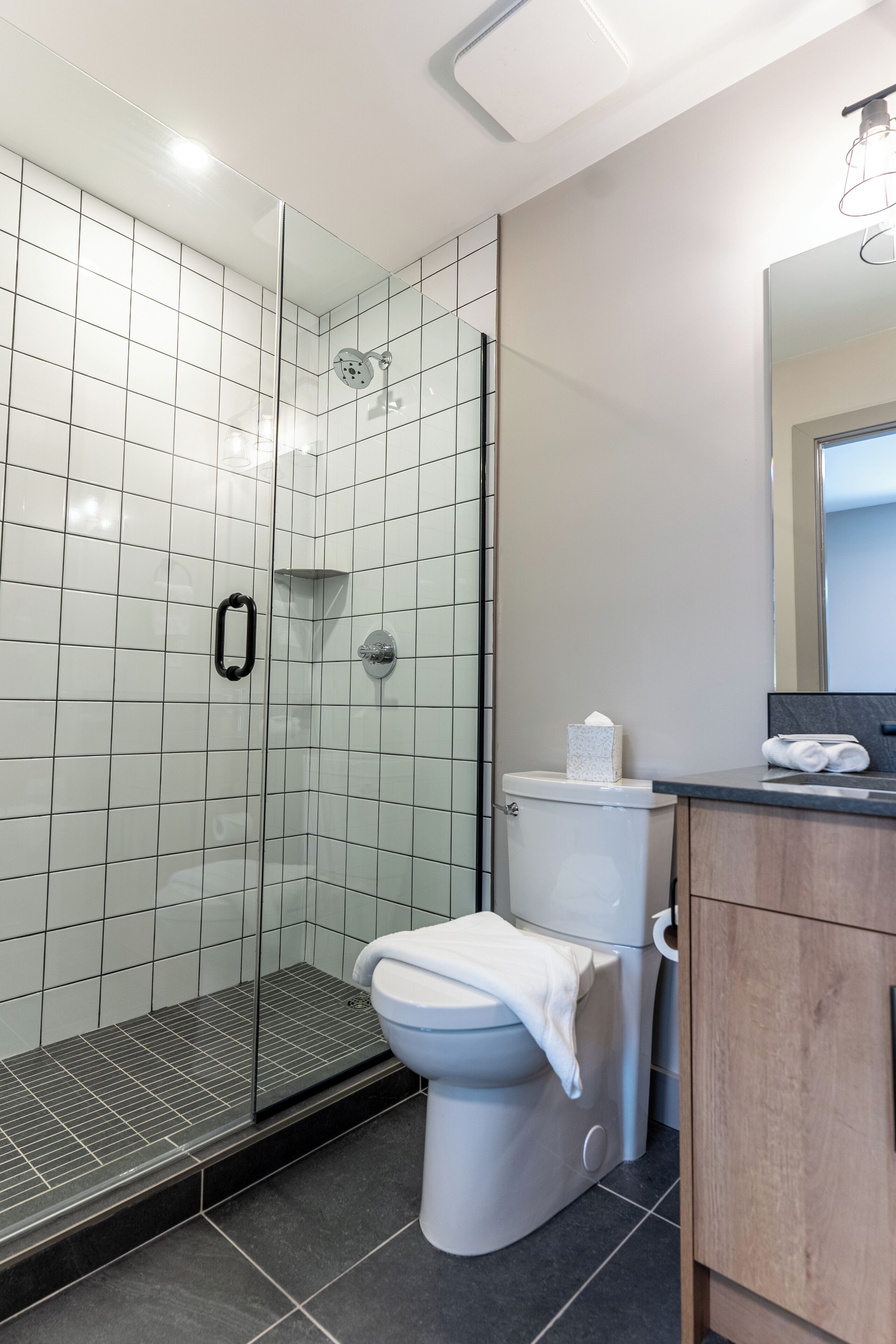 A modern bathroom with a glass shower enclosure, a toilet, and a vanity with a mirror.