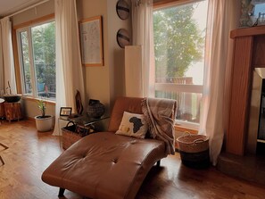 Smart-TV, Kamin