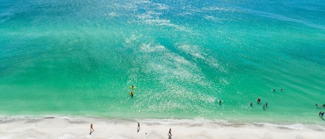 Lettini da mare