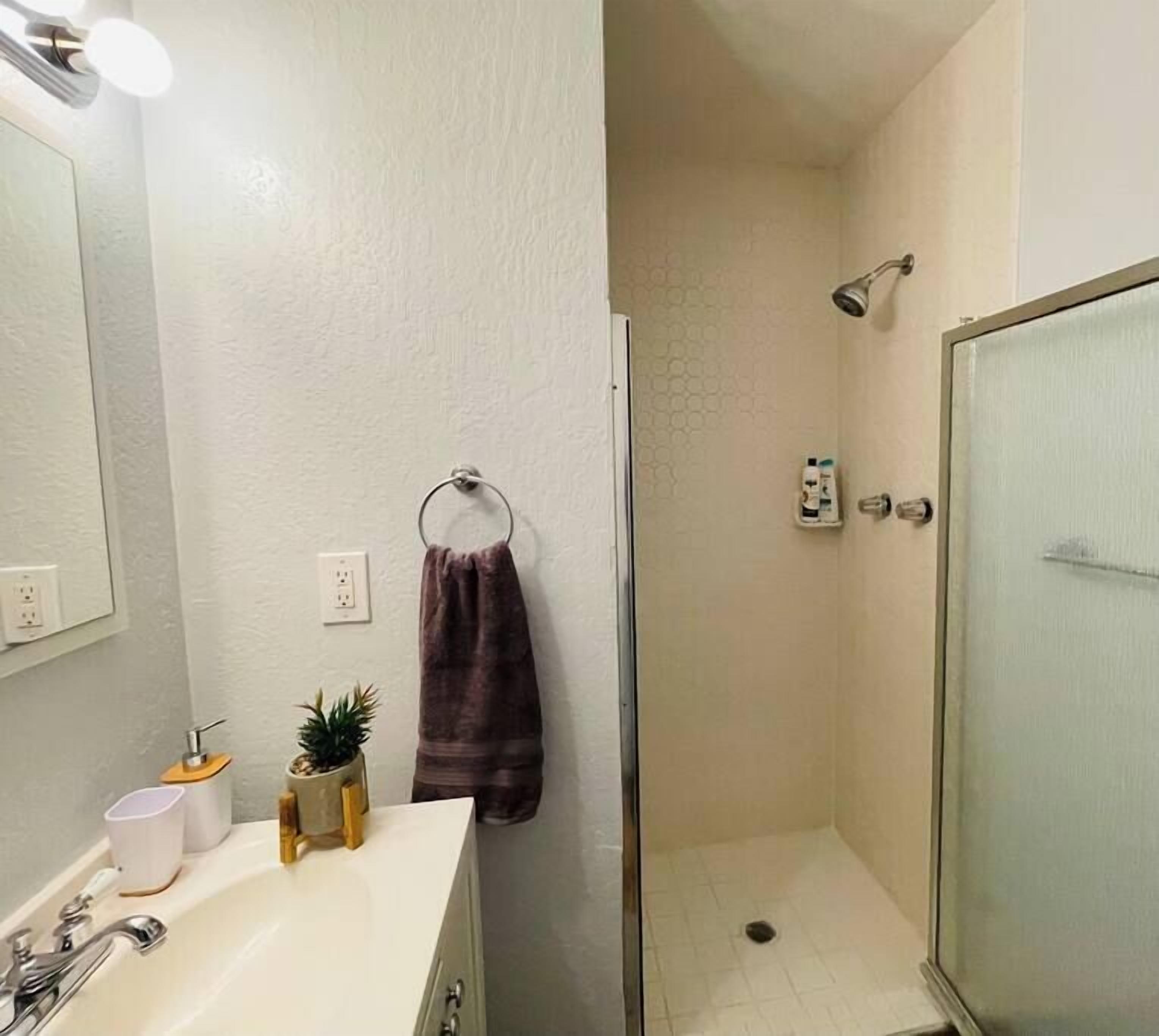 Une salle de bain avec un lavabo blanc, un miroir, un porte-serviettes, une douche avec une porte en verre et une petite plante en pot.