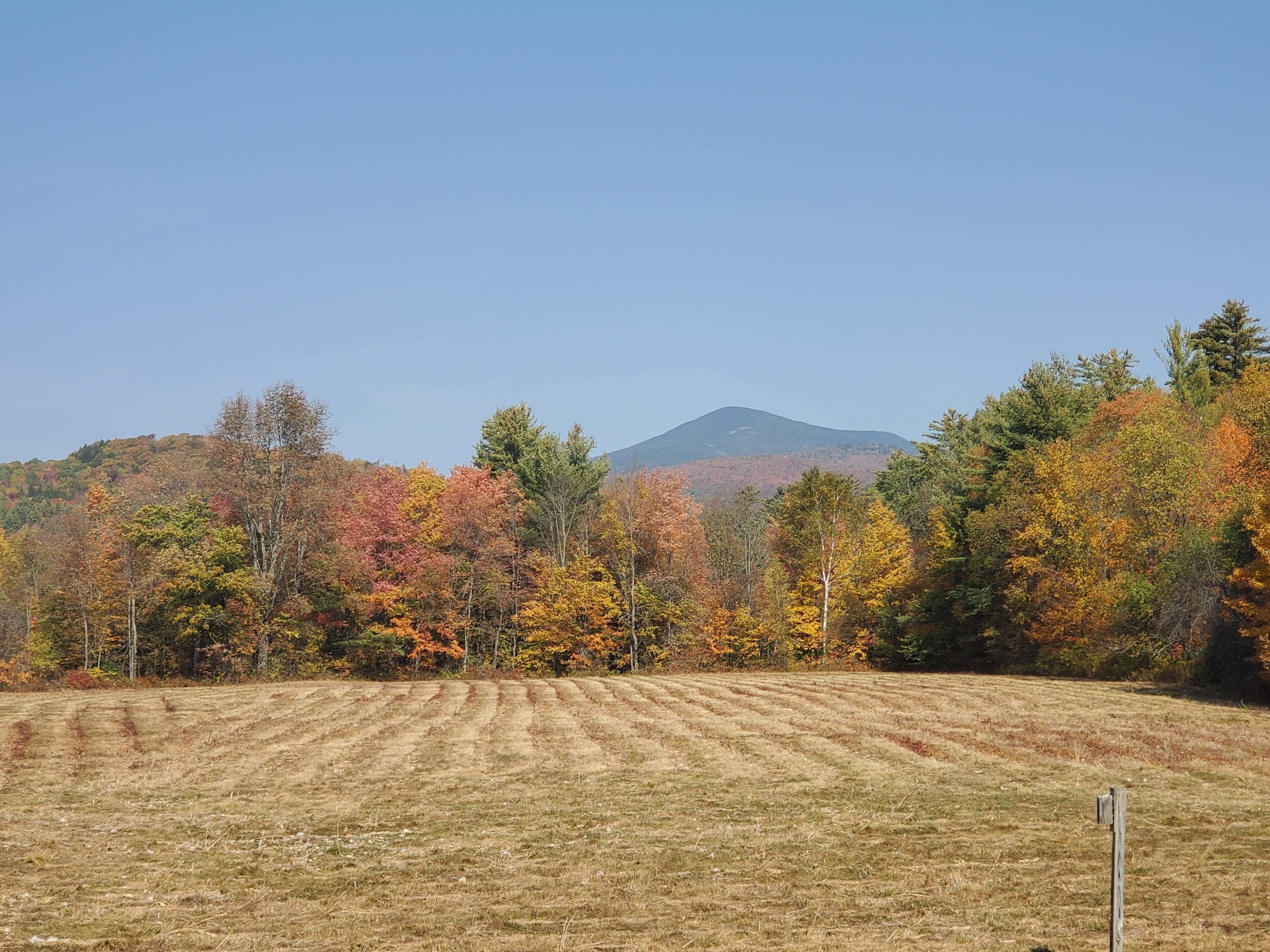 Ein Feld mit einem Berg im Hintergrund und Bäumen im Herbstlaub.
