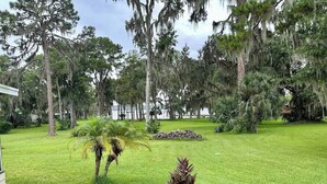 Un jardí ben cuidat amb una palmera petita i una planta decorativa al primer pla, envoltat d'arbres madurs amb baldragues.
