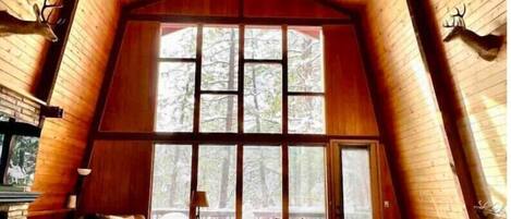 Téléviseur, foyer, livres