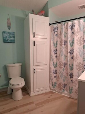 Hair dryer, towels, soap, toilet paper - Cottage with pool, boat dock and launch (Englewood)