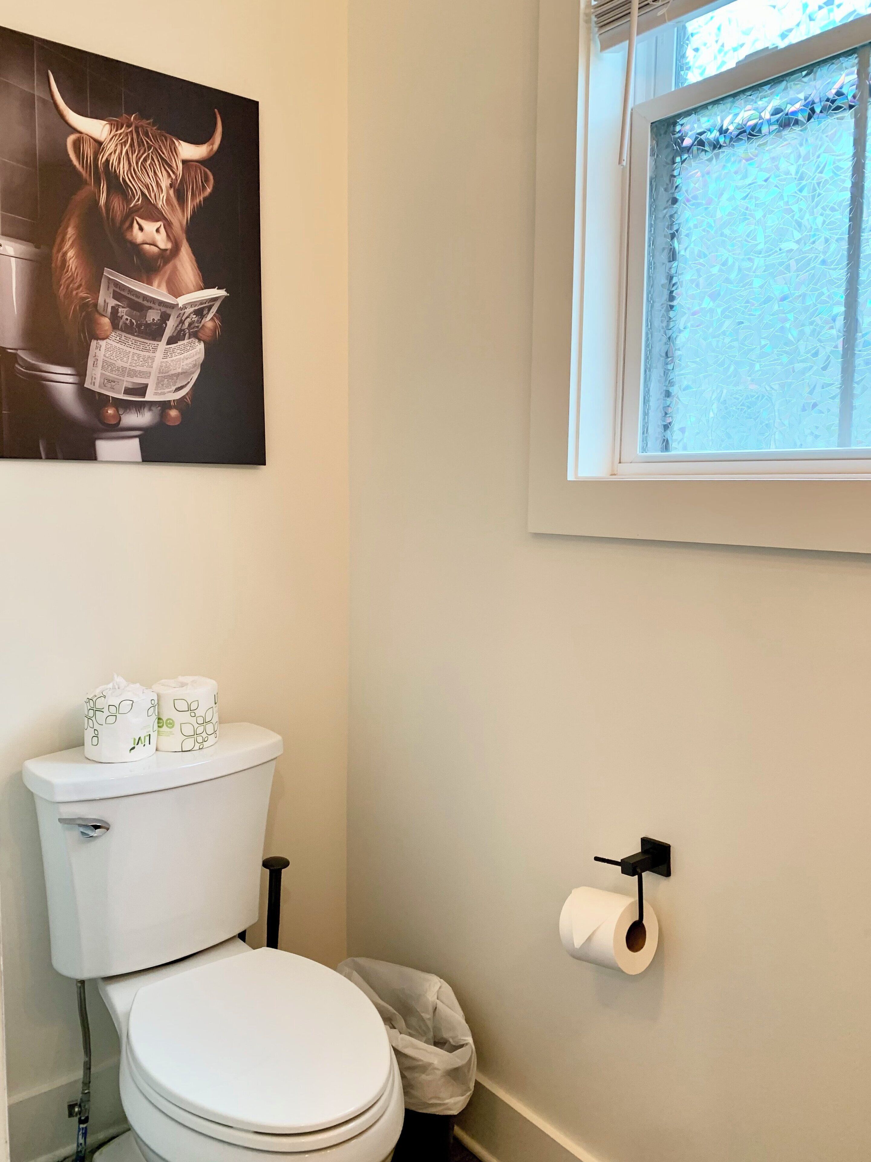 A bathroom with a toilet, a roll of toilet paper on the wall, and a window with a view of trees.