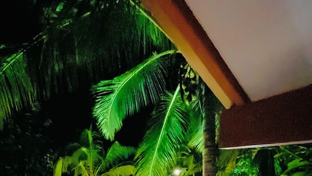 A swimming pool with a glass bottom, surrounded by palm trees and a covered area with lights. - Sigiri Holiday Bungalow (Sigiriya)