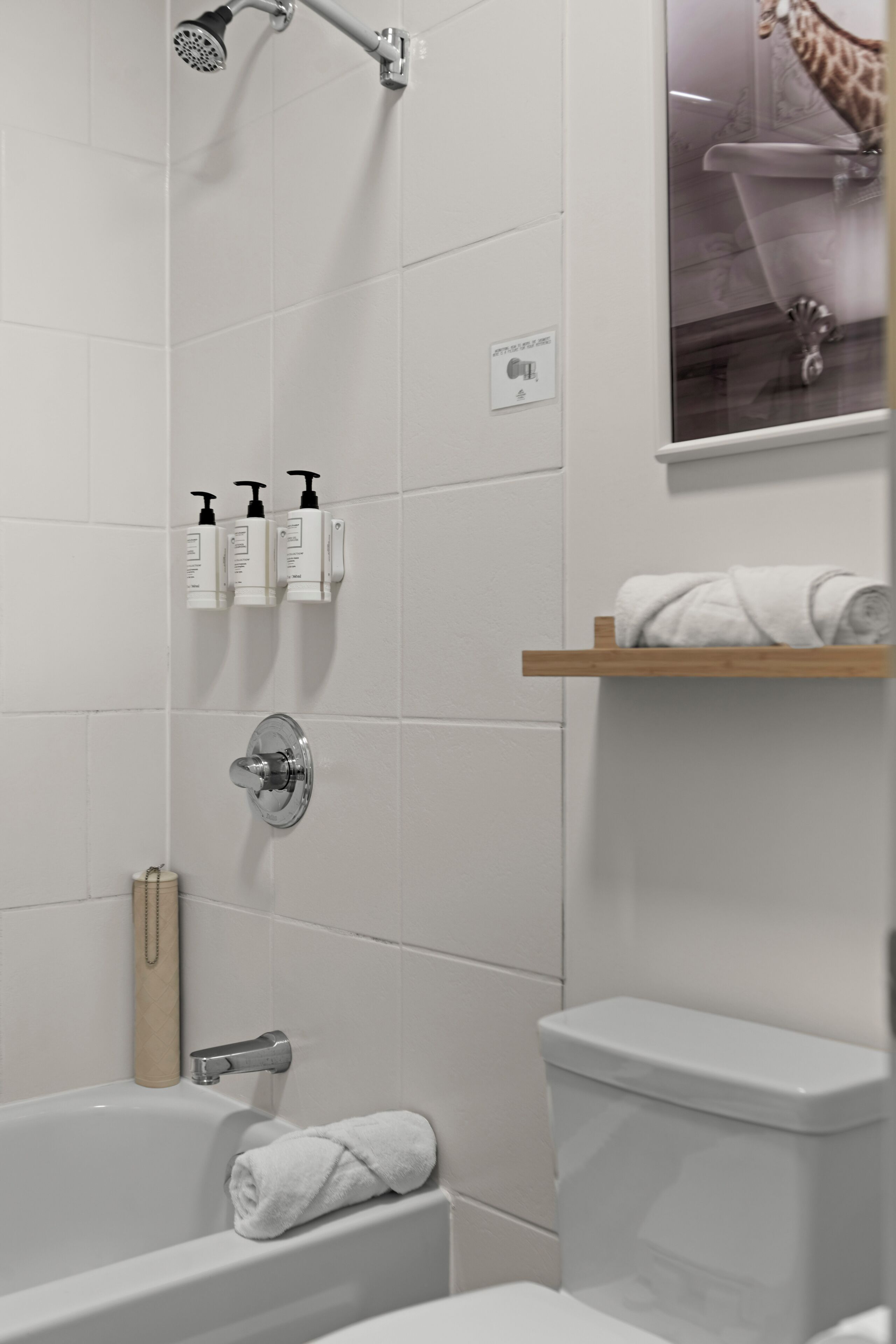 Kombination af bruser/badekar, miljøvenlige toiletartikler, hårtørrer