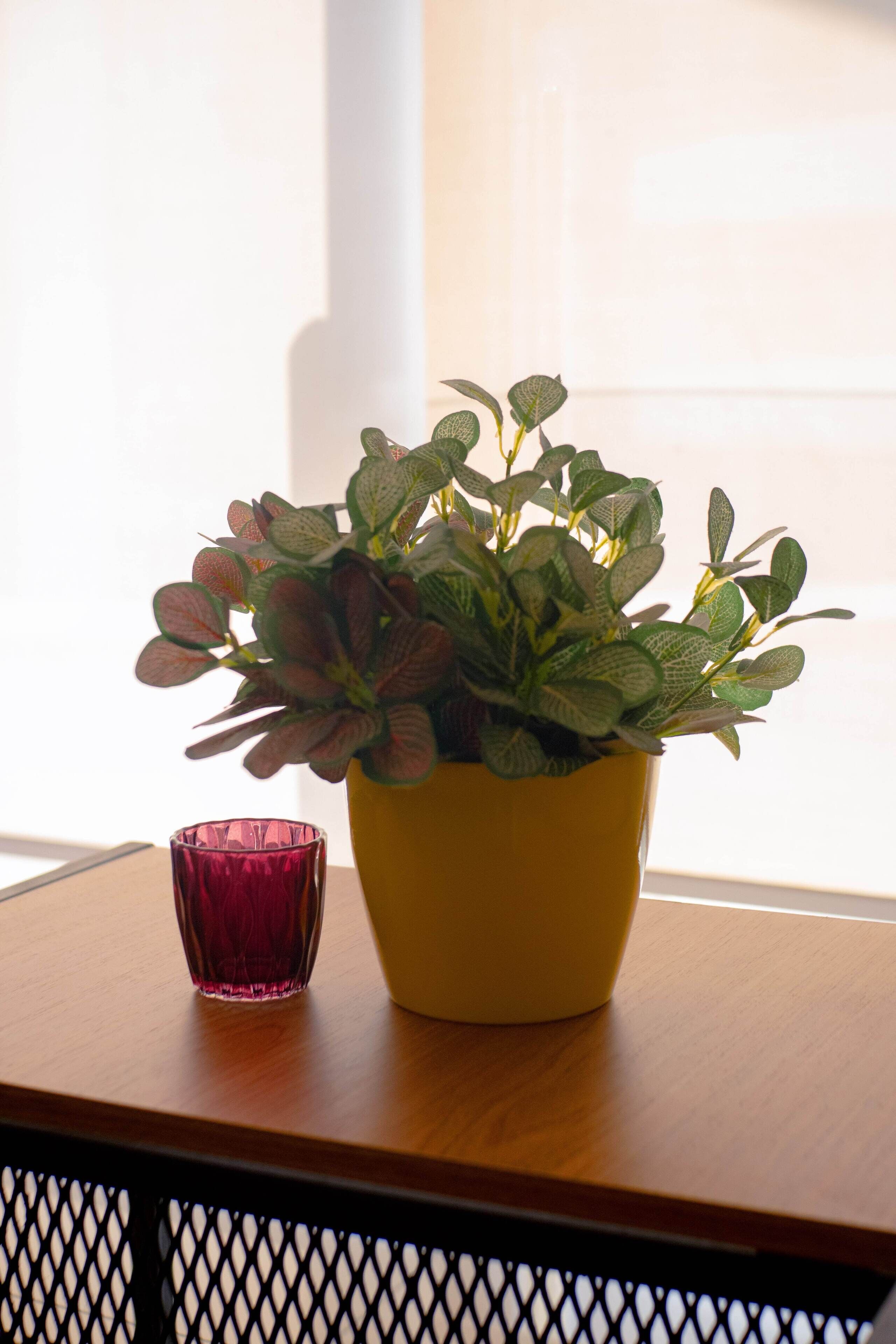 Una pianta in vaso con foglie variegata su un tavolo di legno, accanto a un candelabro di vetro rosa.