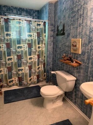 Combined shower/tub, hair dryer, towels, soap