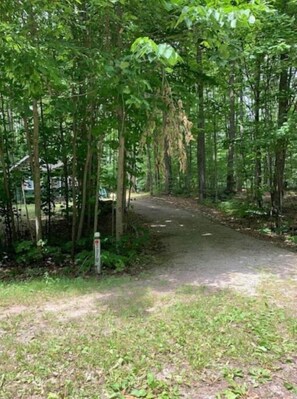 Property grounds - Horn HideAway: Wooded Cottage, Kayakers Welcome! (Johannesburg)