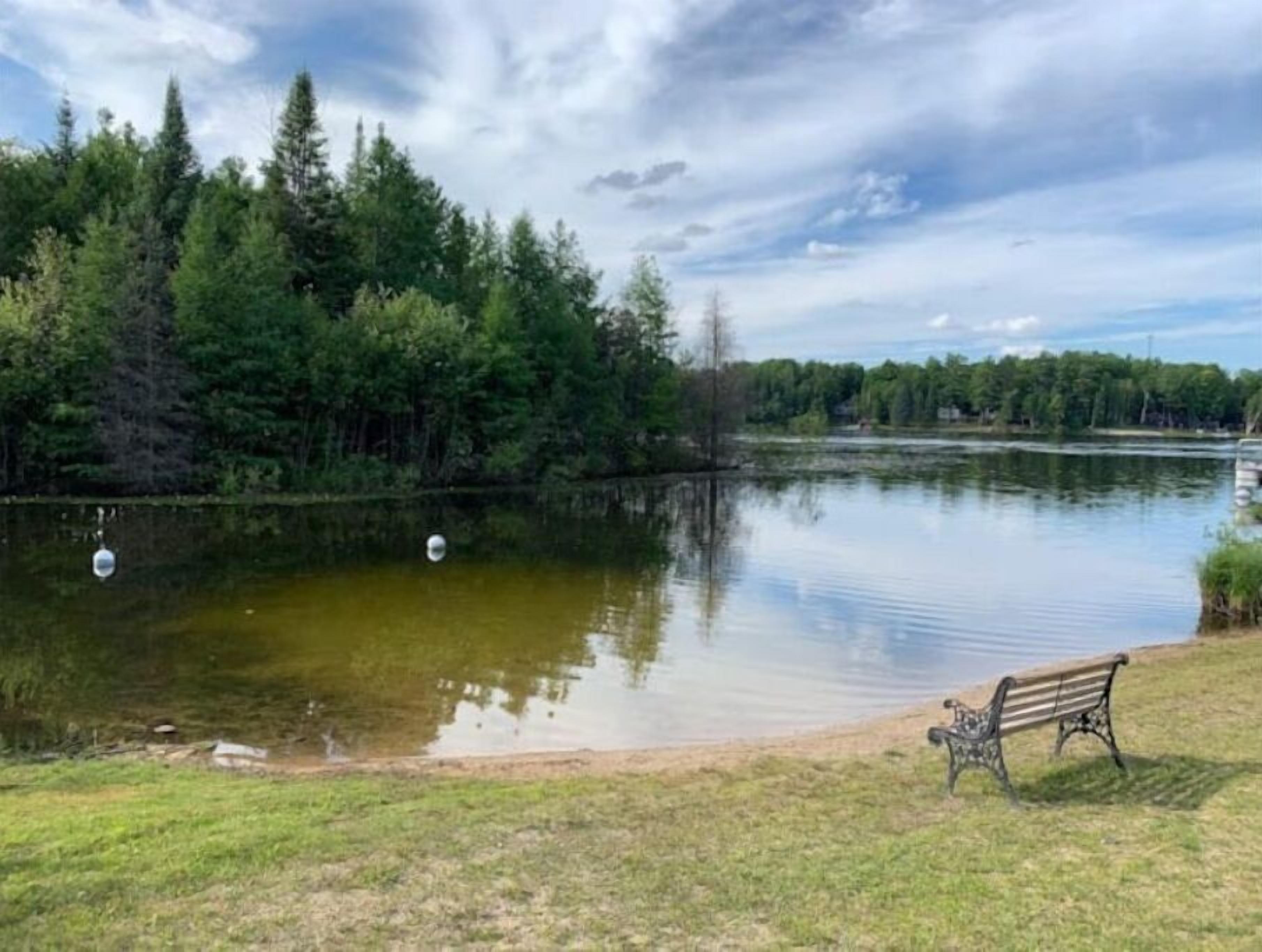 A bench by a calm lake with trees in the background.