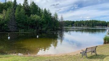 A bench by a calm lake with trees in the background.