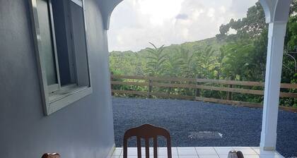 Au cœur de la forêt domaniale chez les roses de porcelaine