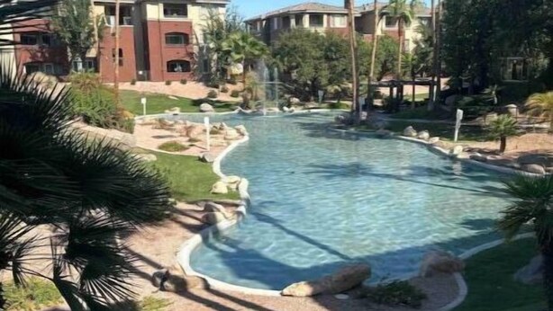 A swimming pool with a curved edge, surrounded by palm trees and a small waterfall feature.