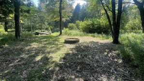 A forested area with a picnic table and a fire pit. - Peaceful Hideaway! New Listing (Roscommon)