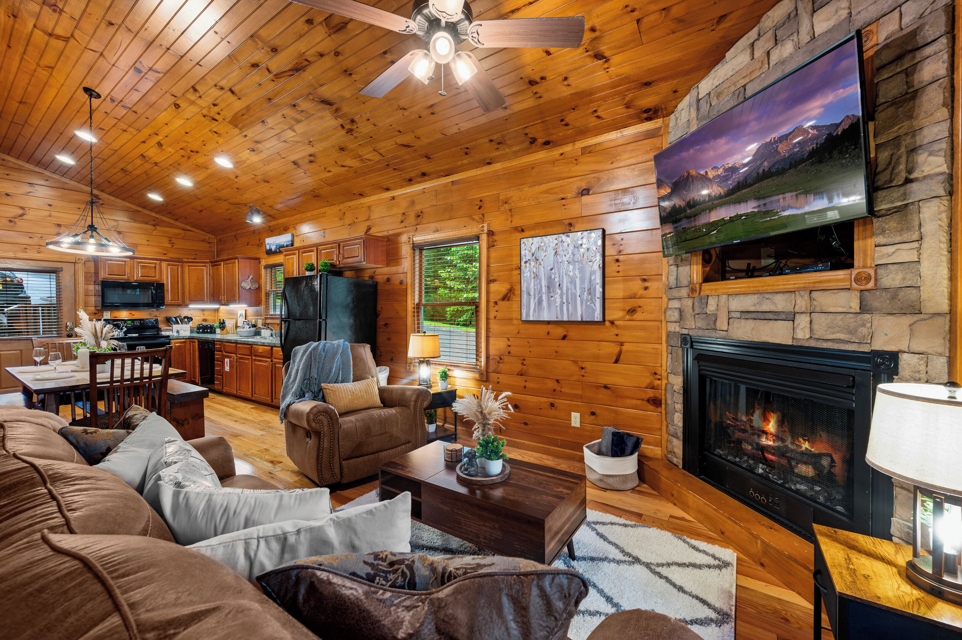 Smart TV, fireplace, books