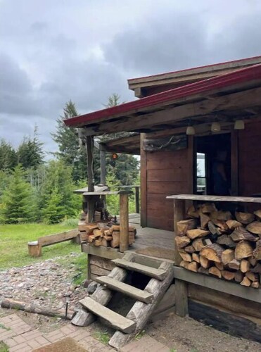 Rustic Cabin Wrap-around View