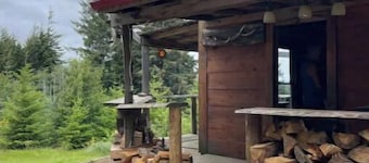 Rustic Cabin Wrap-around View