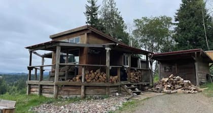 Rustic Cabin Wrap-around View