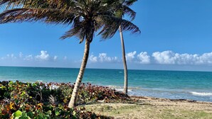 A beach with palm trees and a clear view of the ocean. - Paradise in Rio Grande, Puerto Rico Right Next door to Four Seasons (Río Grande)