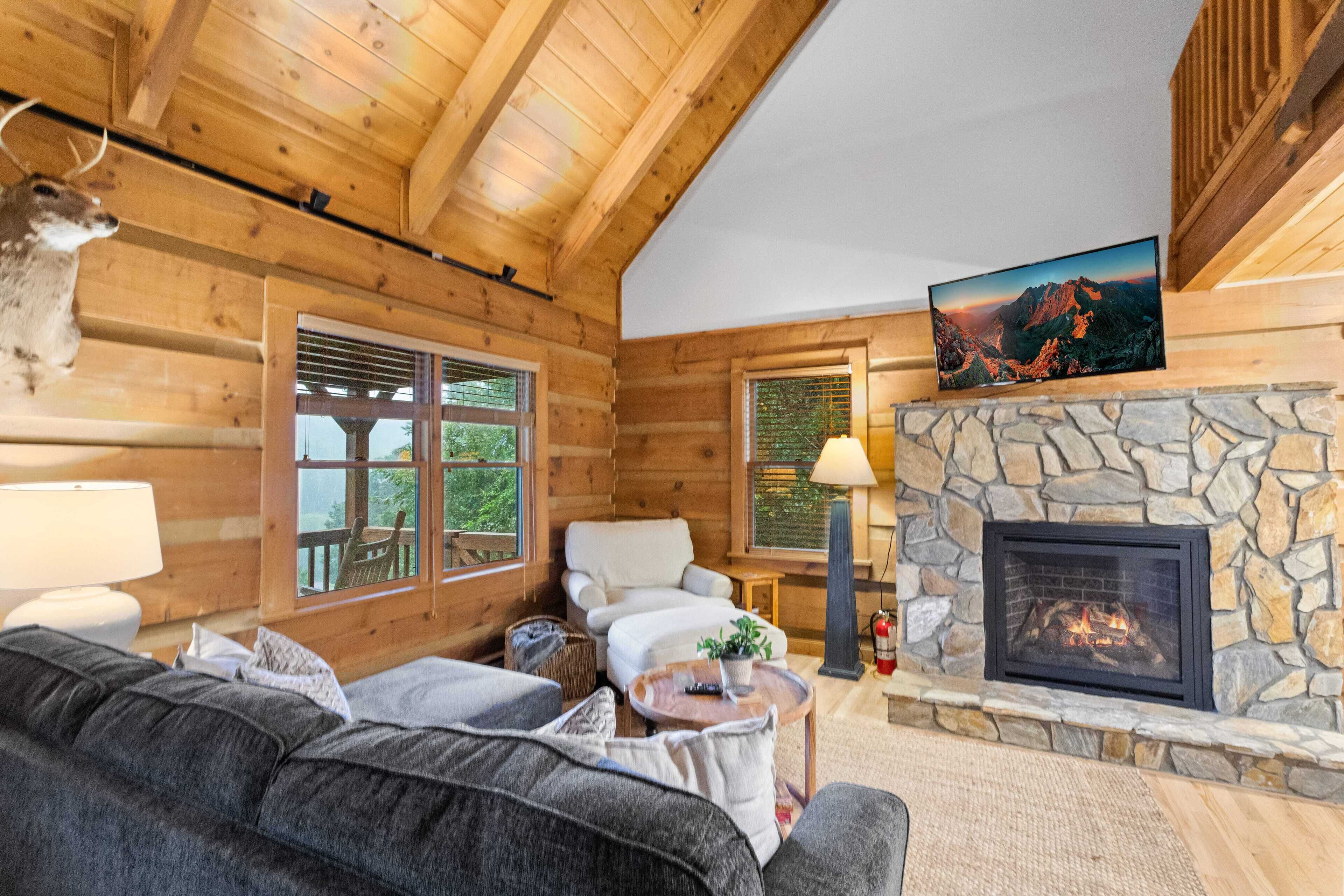 TV, fireplace, video games