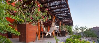 Rancho, caballos, playa y alimento todo incluido!