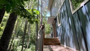 Una scala in legno conduce a una casa con ampie finestre, immersa nel verde.