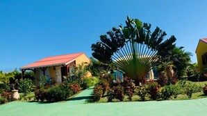 Un resort con una palmera imponente en el centro, un área de estar al aire libre techada y un jardín cuidado con diversas plantas y flores.
