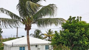 A white house with a corrugated metal roof, surrounded by lush greenery and a palm tree.