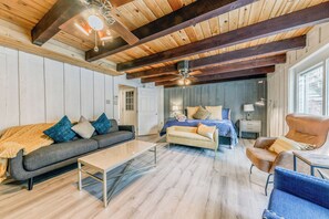 TV connectée, cheminée, lecteur de DVD