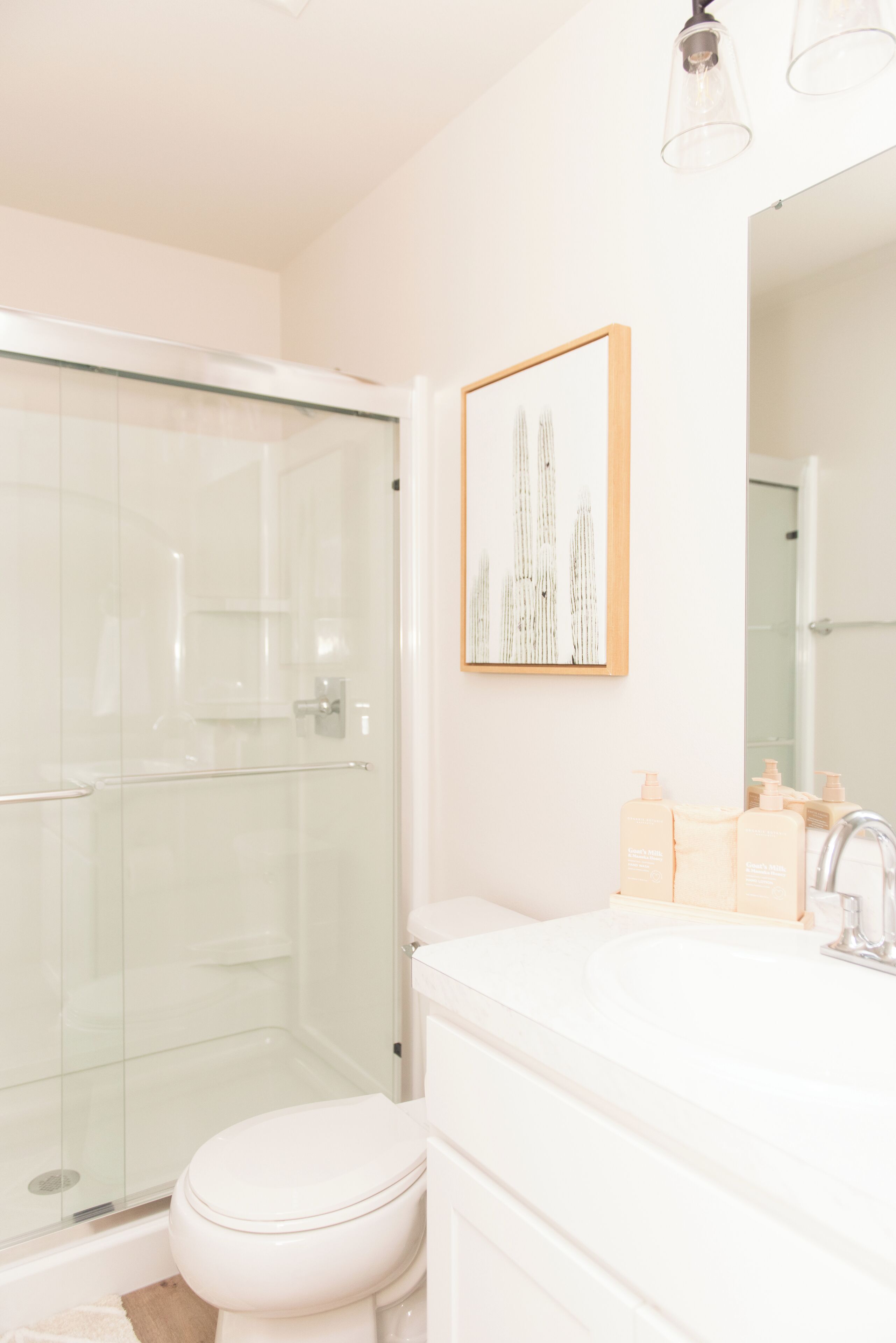 Ducha, secador de pelo, toallas, jabón