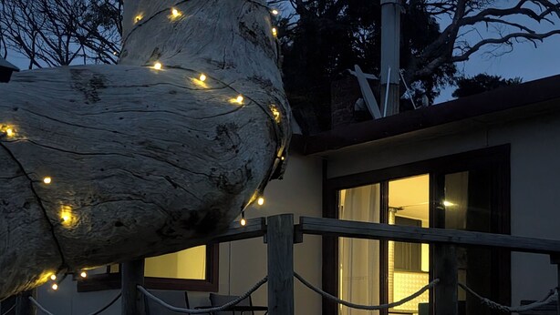 A wooden deck with a rope barrier, a large tree with string lights, and a building with a visible window.