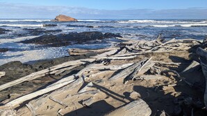 A rocky shoreline with driftwood and a distant rocky outcrop.