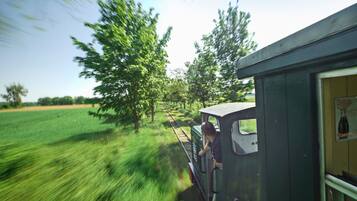 A vintage train with a person standing at the front, traveling through a rural area with green fields and trees.