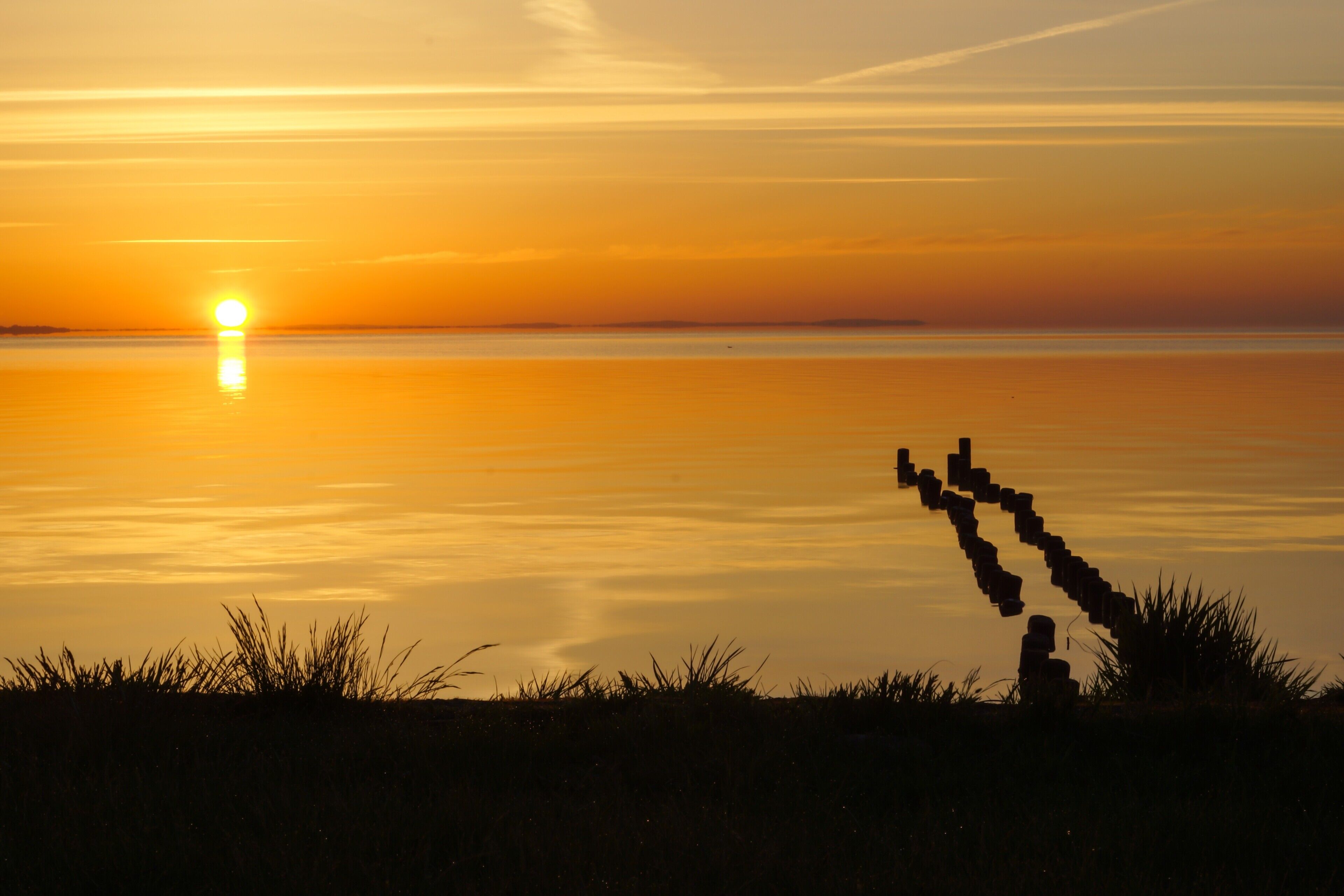 Solnedgang over stille vand med silhuetter af græs og en stenhævet sti.