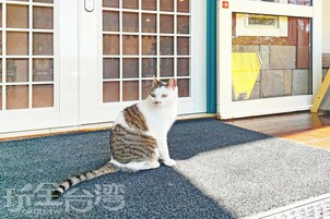 A cat sitting on a mat in front of a door with a screen door.
