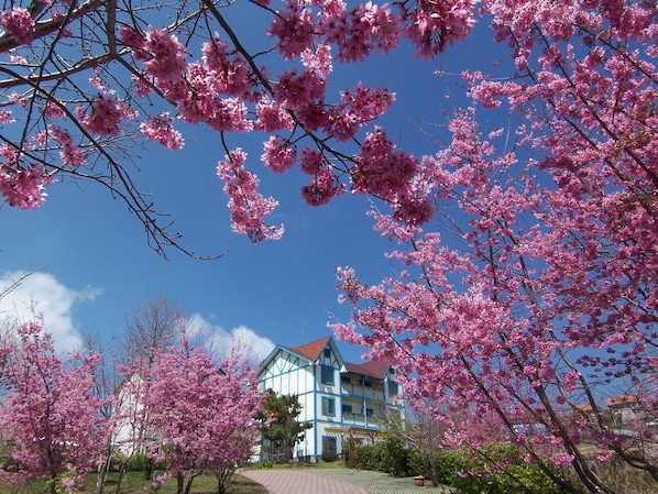 Exterior - Baili Manor Cing Jing (Ren'ai)