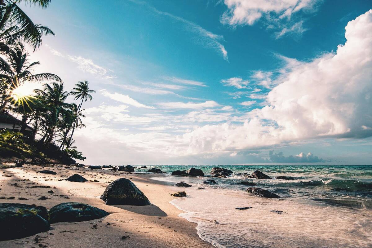 Una playa con palmeras, rocas y el océano.