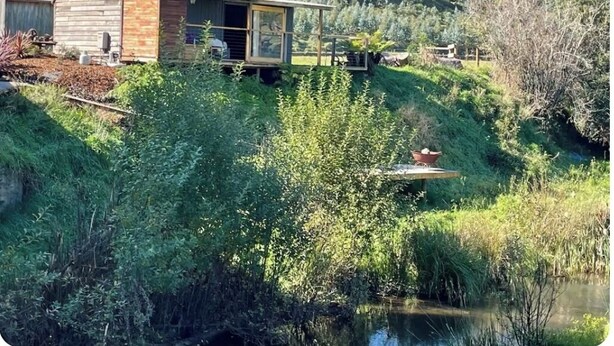 Une cabane rustique, dotée d’un toit en pente, située sur une colline, avec un étang en premier plan.