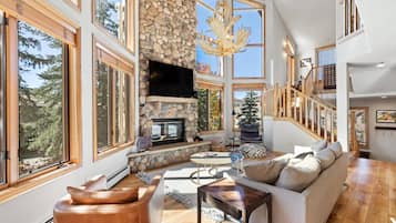 Smart TV, fireplace, books