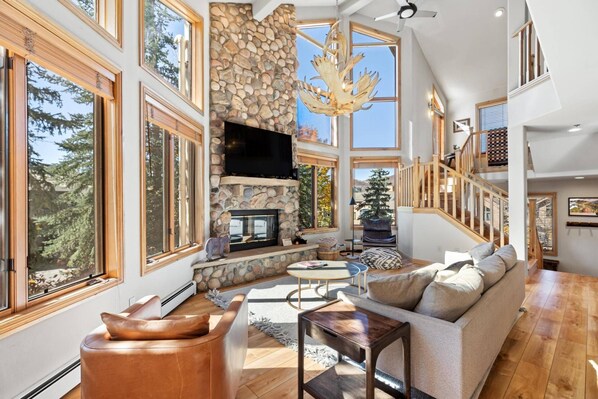 Smart TV, fireplace, books