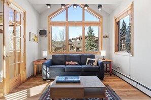 Smart TV, fireplace, books