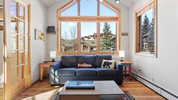 Smart TV, fireplace, books