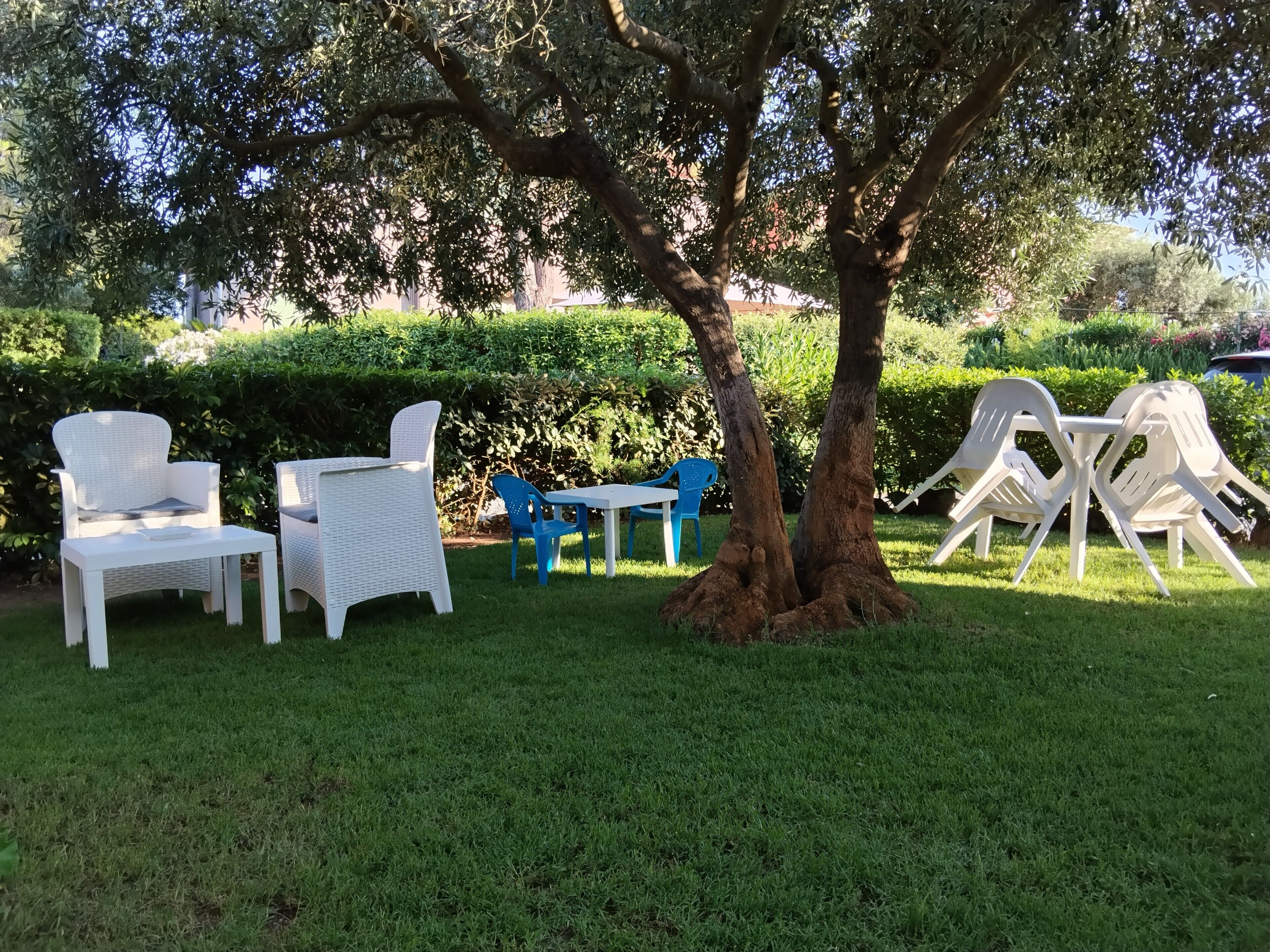 Ein Garten mit Sitzgelegenheit im Freien, darunter weiße und blaue Stühle und Tische, unter einem großen Baum.