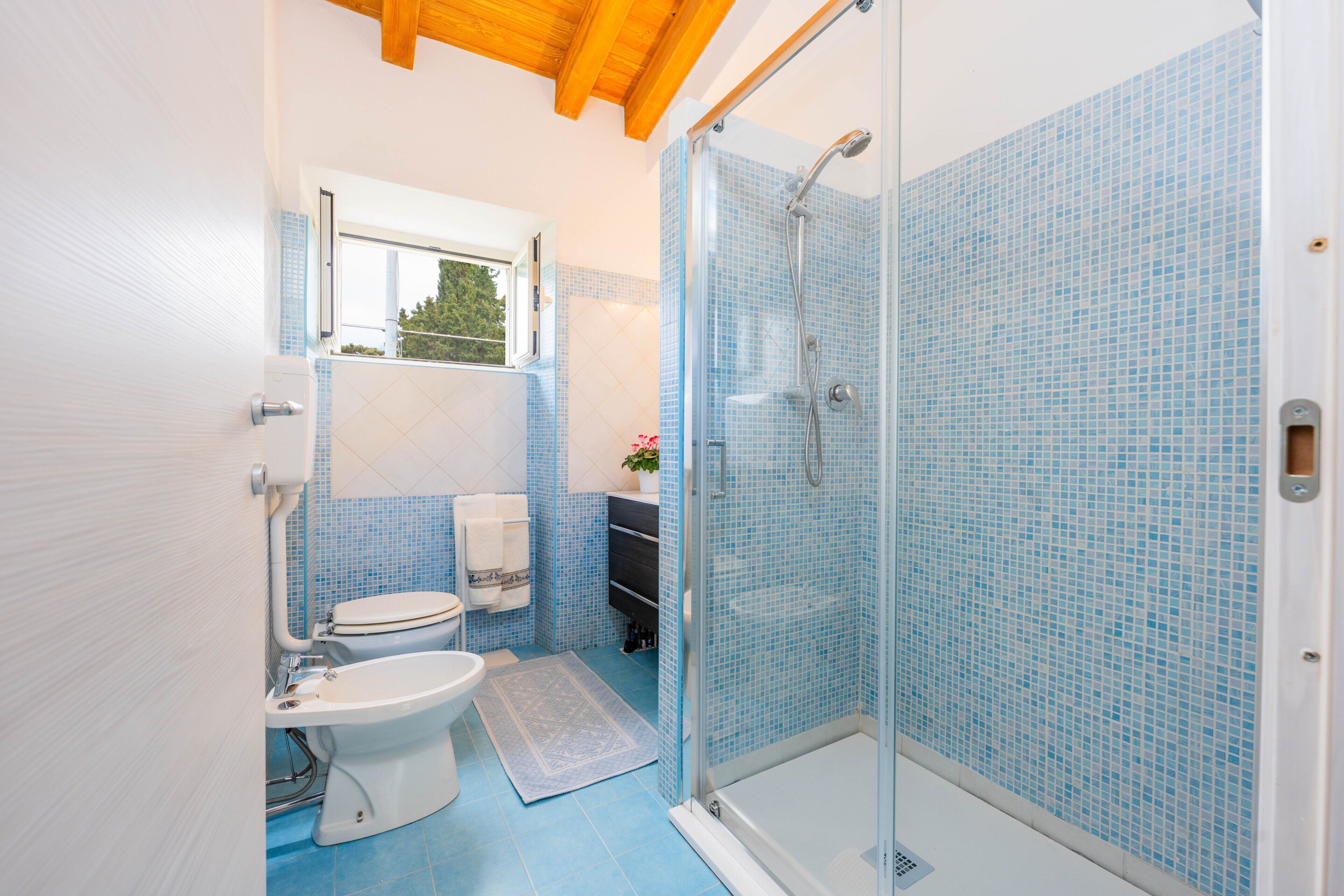 Shower, hair dryer, towels
